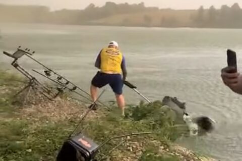 josava Ukrajinci josava Ukrajinci