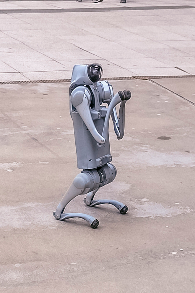 robotski pas