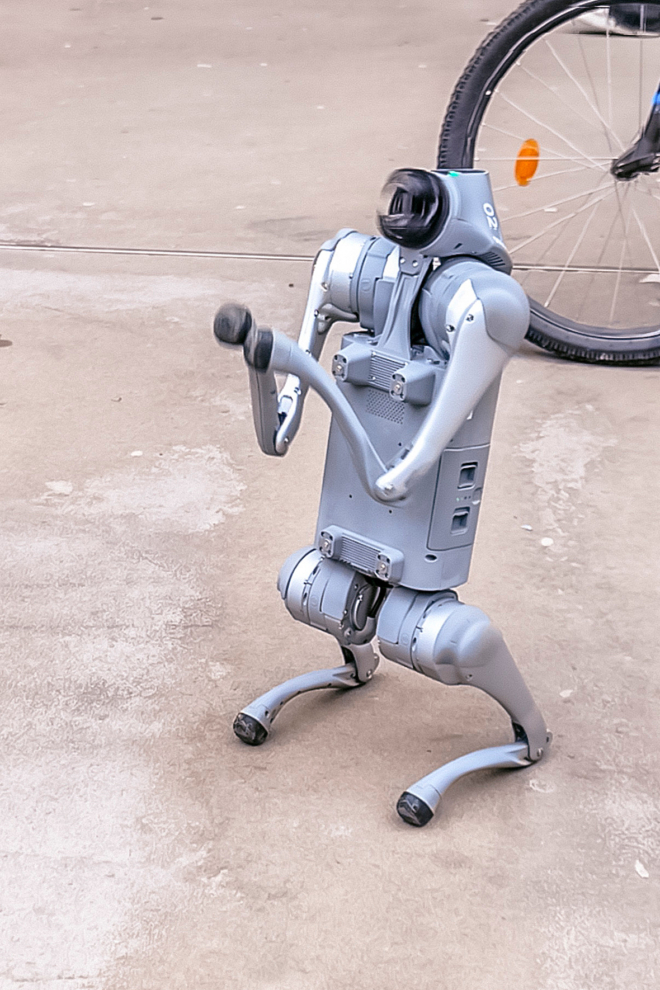 robotski pas