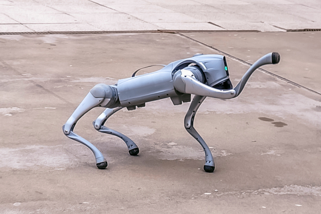 robotski pas