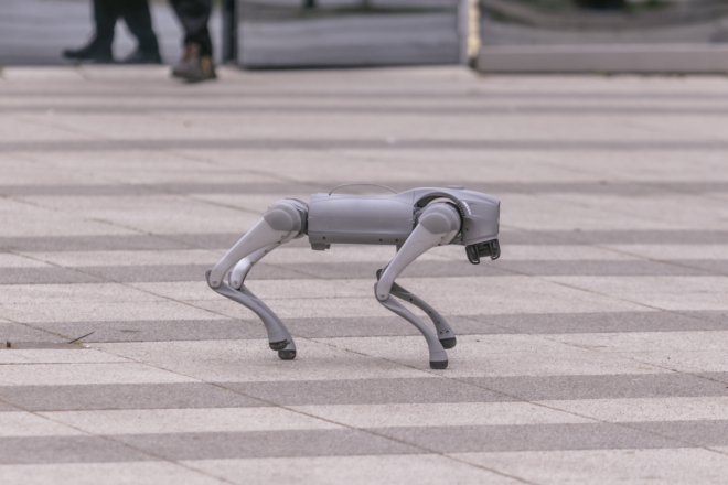 robotski pas