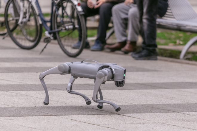 robotski pas