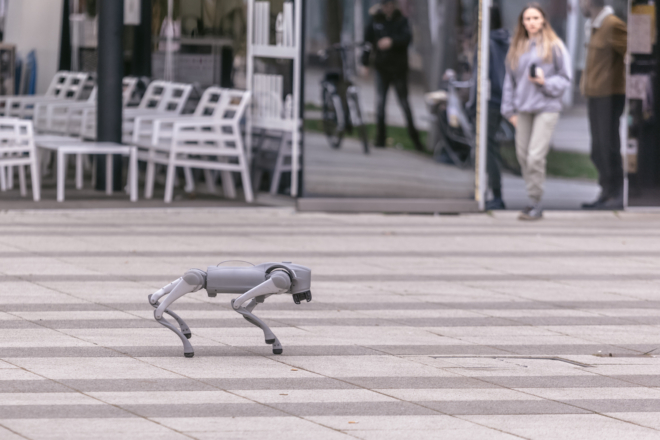 robotski pas