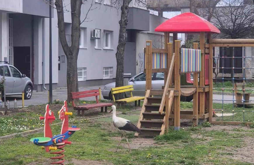 roda na igralištu roda na igralištu