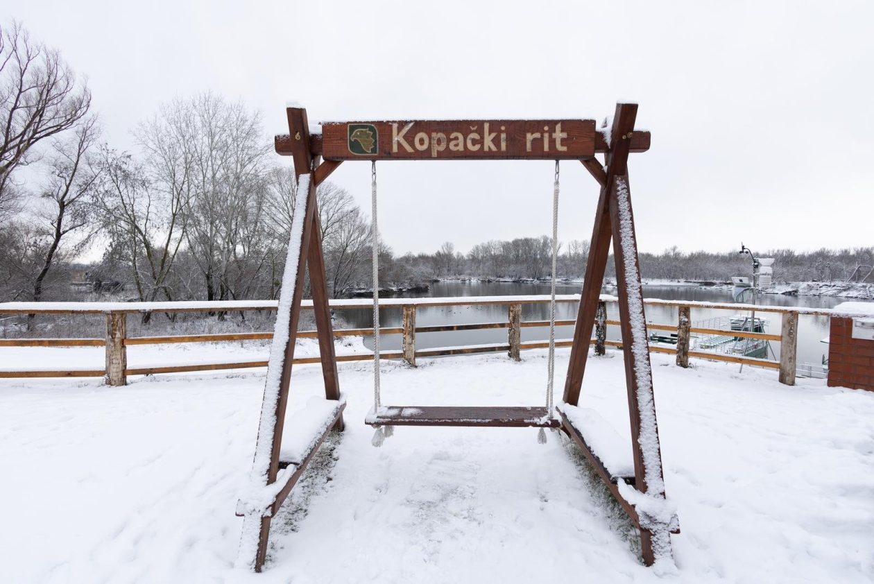 snijeg u kopačkom ritu 2025 1