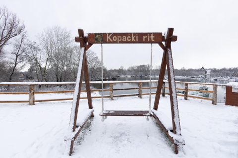 snijeg u kopačkom ritu 2025 1 snijeg u kopačkom ritu 2025 1