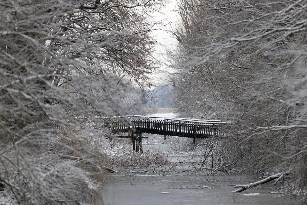 snijeg u kopačkom ritu 2025 10