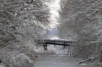 snijeg u kopačkom ritu 2025 10