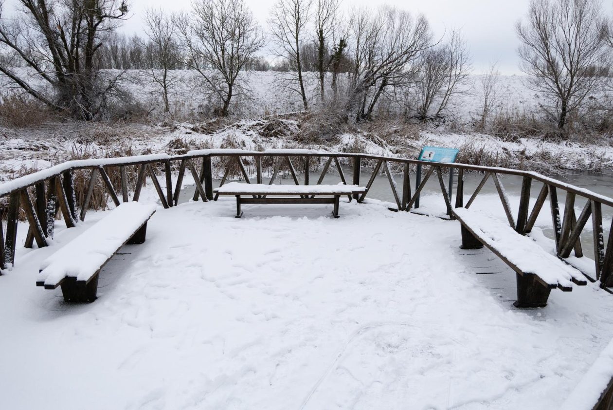 snijeg u kopačkom ritu 2025 11