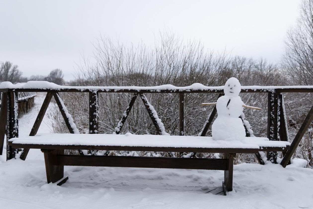 snijeg u kopačkom ritu 2025 12