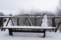 snijeg u kopačkom ritu 2025 12