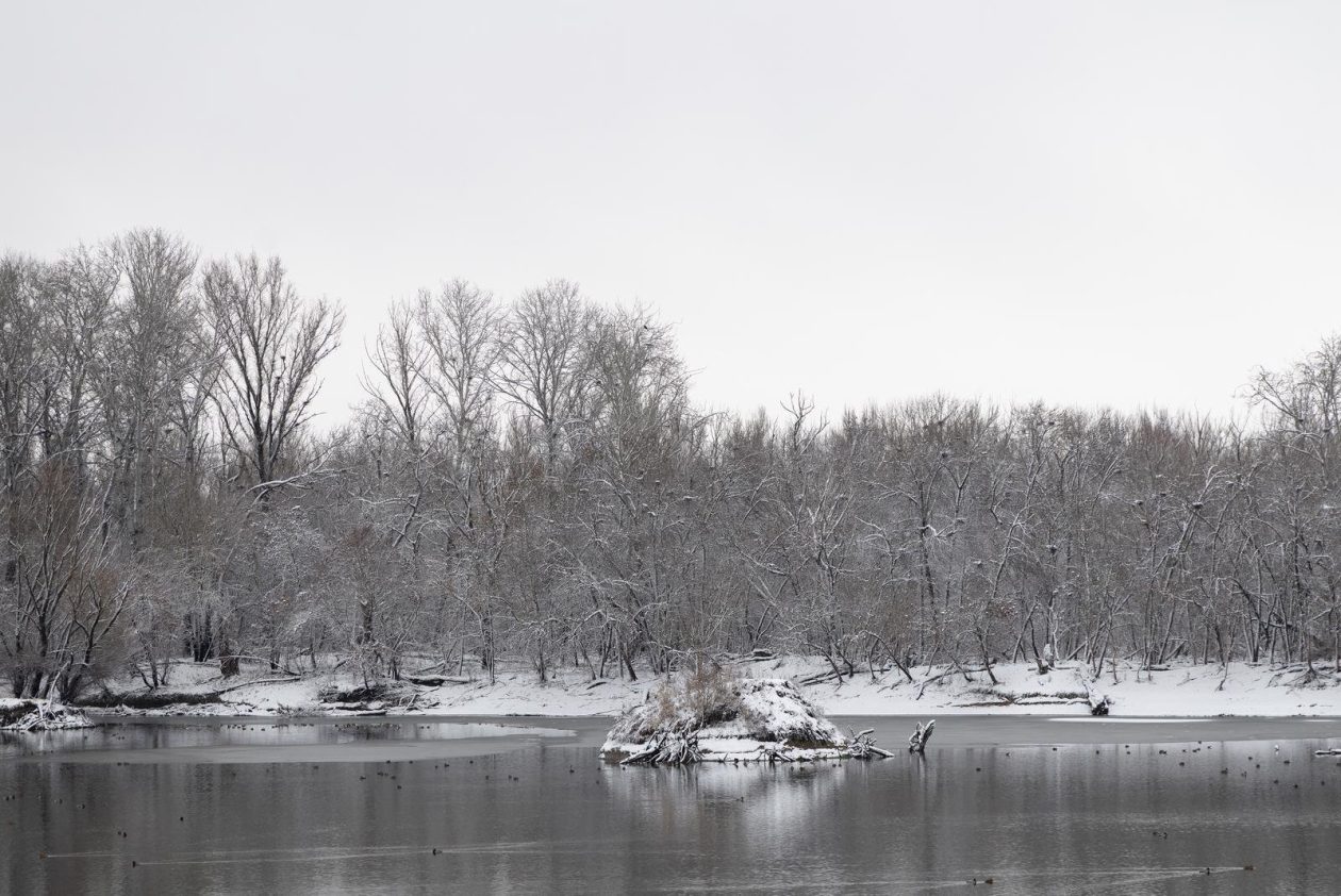snijeg u kopačkom ritu 2025 14