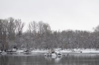 snijeg u kopačkom ritu 2025 14