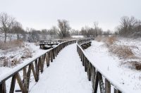 snijeg u kopačkom ritu 2025 15