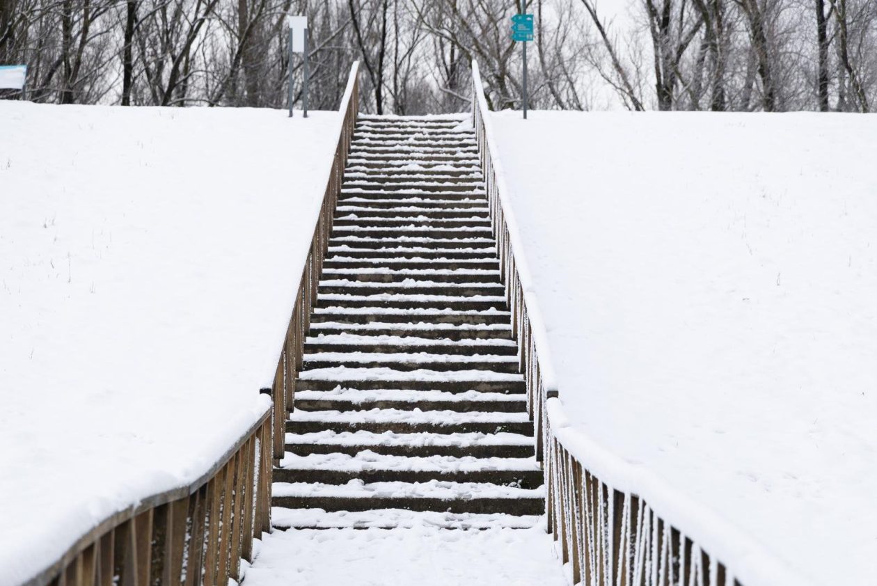 snijeg u kopačkom ritu 2025 16