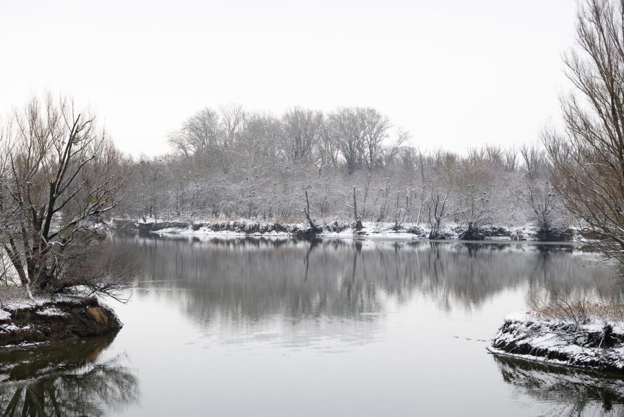 snijeg u kopačkom ritu 2025 17