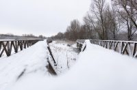 snijeg u kopačkom ritu 2025 2