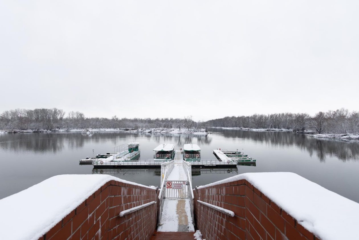 snijeg u kopačkom ritu 2025 20