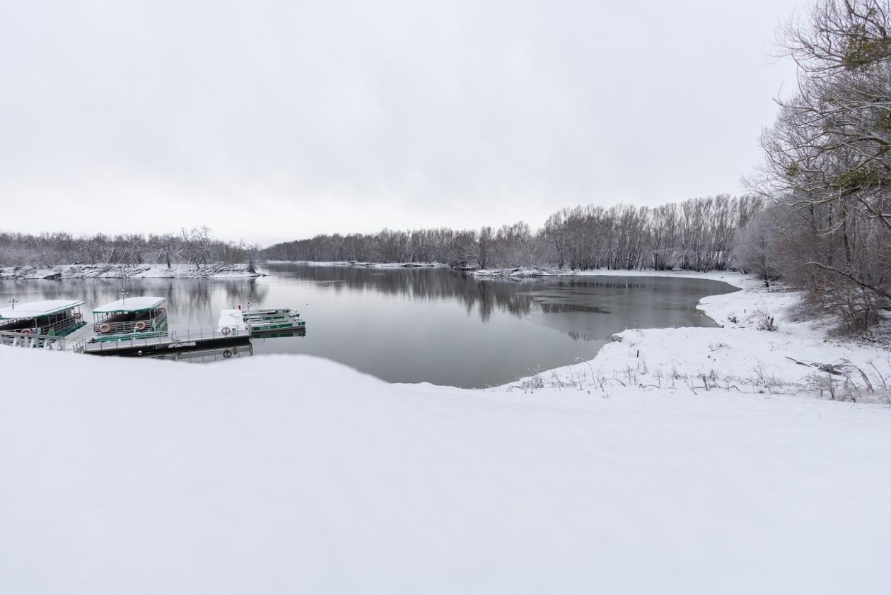 snijeg u kopačkom ritu 2025 21