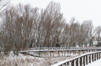 snijeg u kopačkom ritu 2025 22