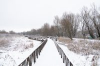 snijeg u kopačkom ritu 2025 3