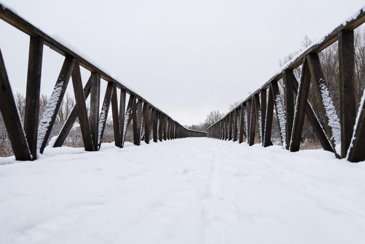 snijeg u kopačkom ritu 2025 6