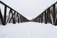 snijeg u kopačkom ritu 2025 6