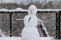 snijeg u kopačkom ritu 2025 8