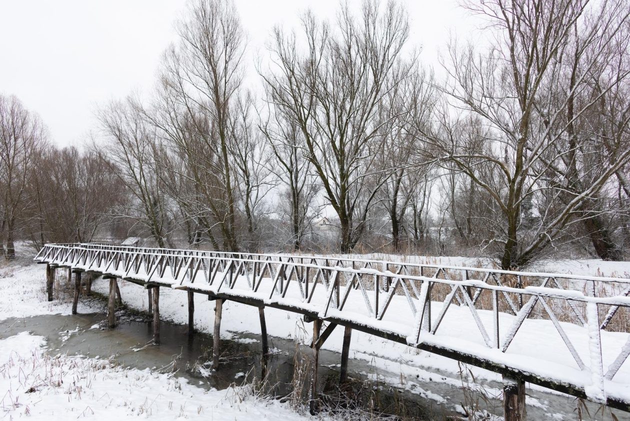 snijeg u kopačkom ritu 2025 9