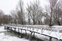 snijeg u kopačkom ritu 2025 9