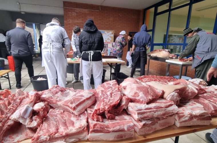 svinjokolja12 svinjokolja12