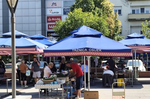 tržnica dgo