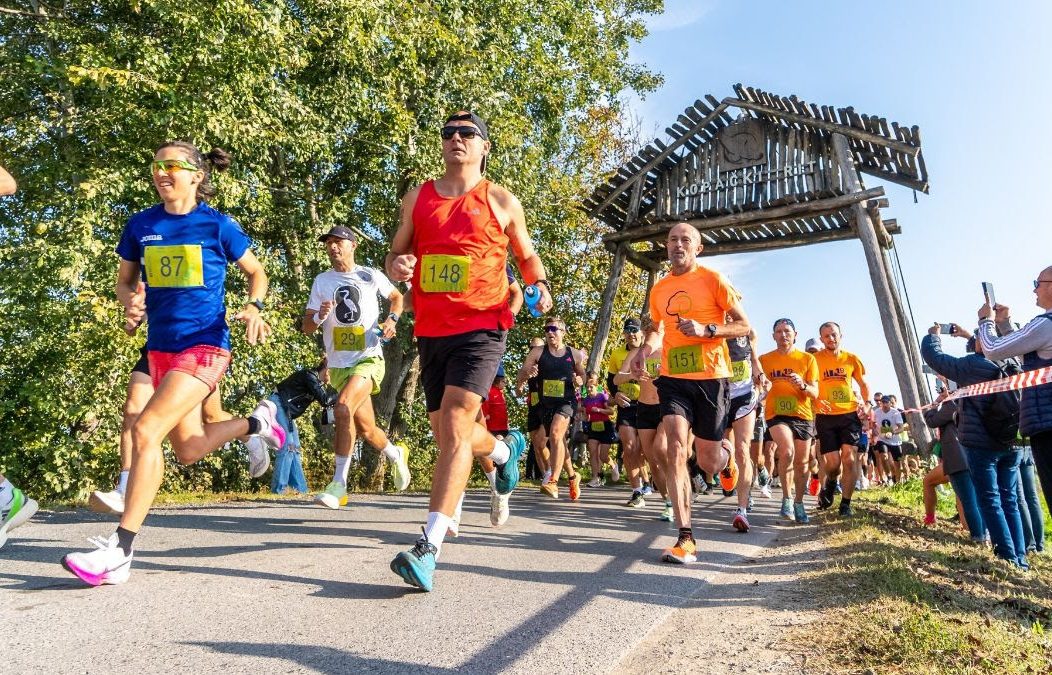 unnamed (16) unnamed (16)