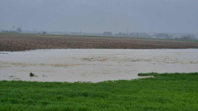 viber_image_2025-03-28_10-17-38-931 viber_image_2025-03-28_10-17-38-931