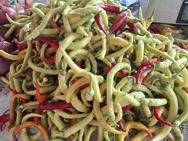 paprika
