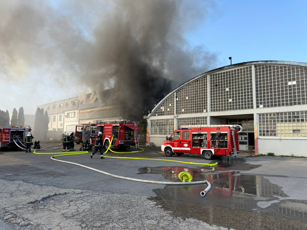 viber_slika_2025-08-07_18-02-52-814