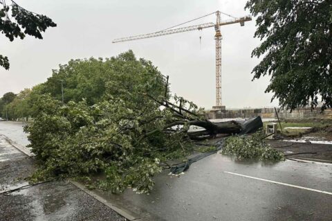 viber_slika_2025-08-21_20-35-24-637