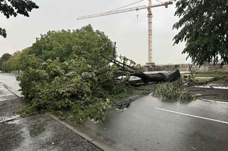 viber_slika_2025-08-21_20-35-24-637