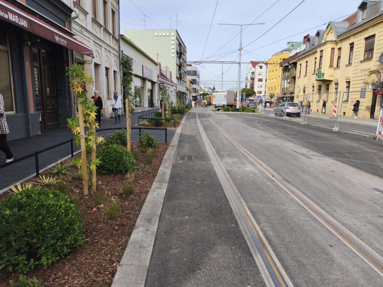 Zelena Strossmayerova