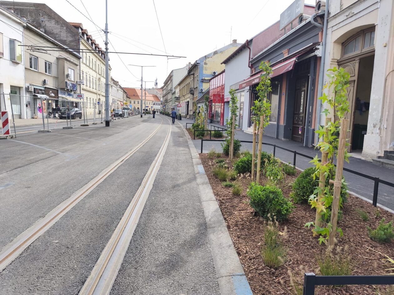 Zelena Strossmayerova