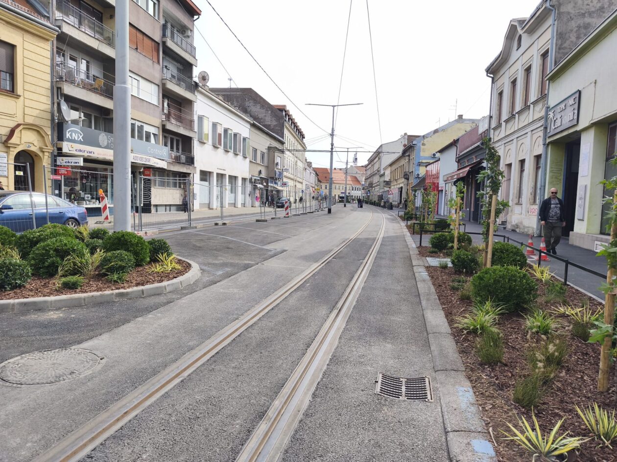 Zelena Strossmayerova