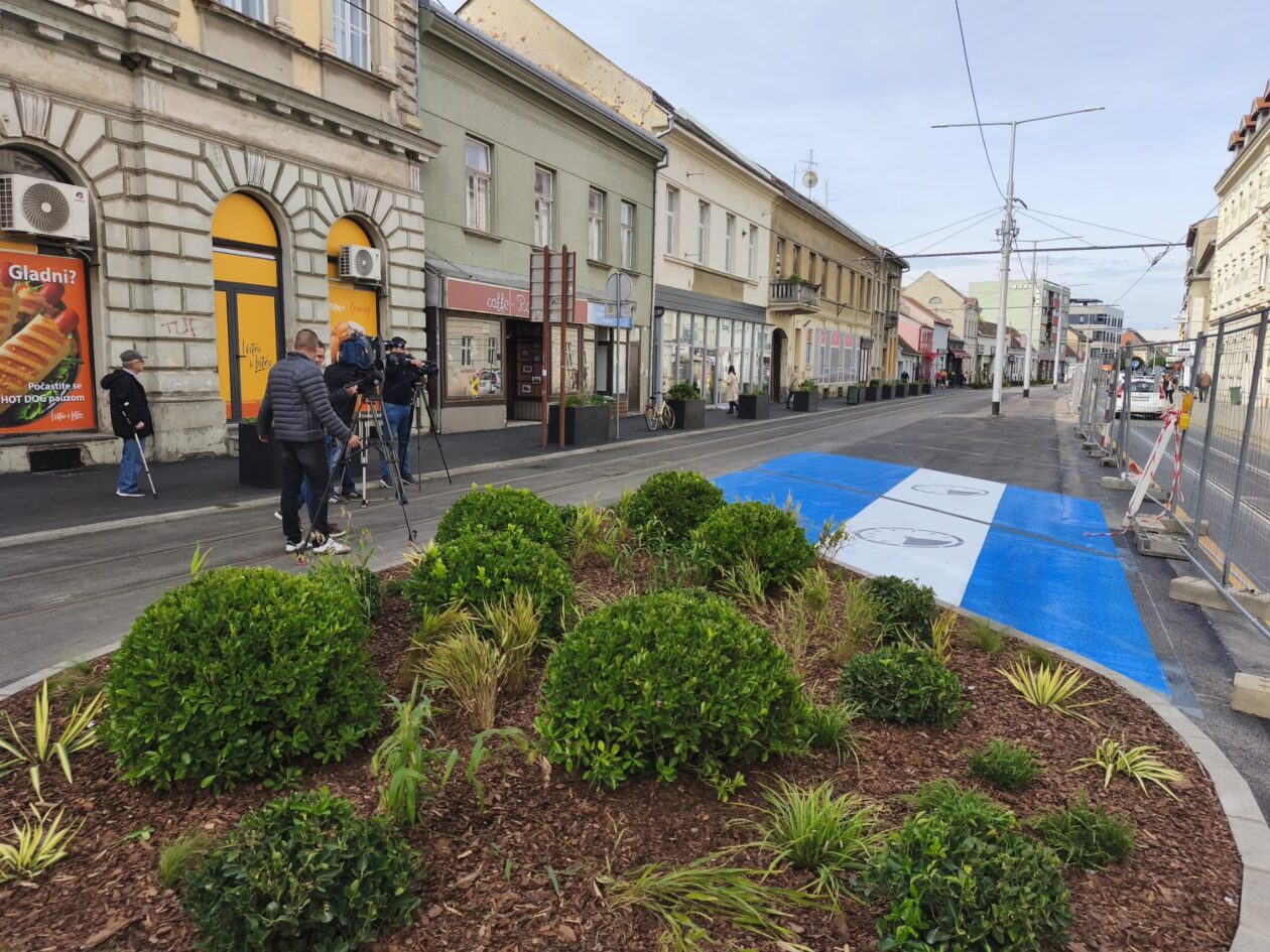 Zelena Strossmayerova