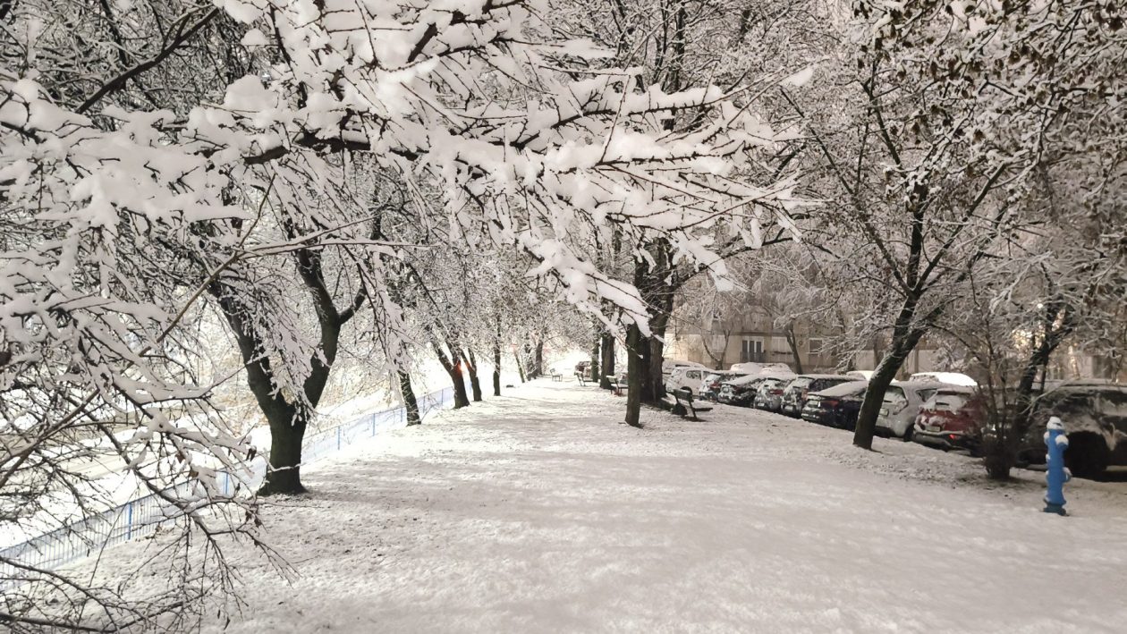 viber_slika_2026-01-03_05-51-56-587 viber_slika_2026-01-03_05-51-56-587