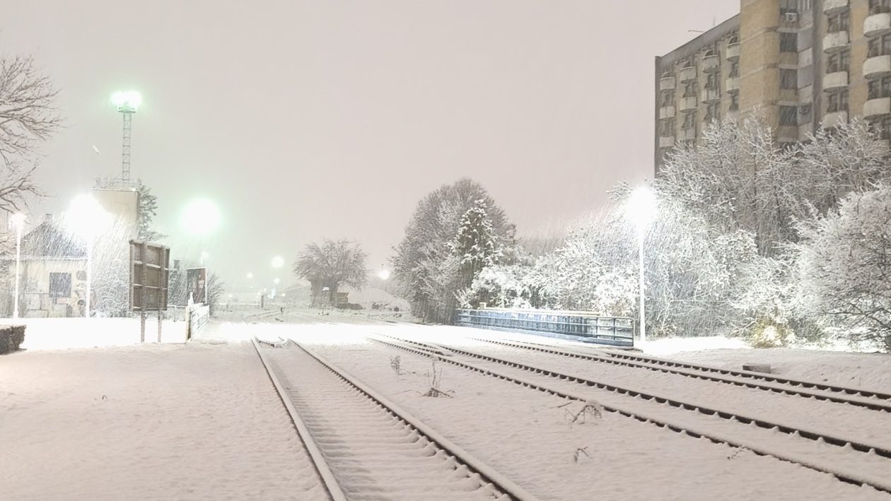 viber_slika_2026-01-03_05-51-56-893 viber_slika_2026-01-03_05-51-56-893