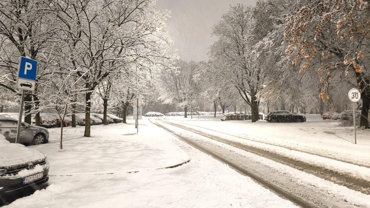 viber_slika_2026-01-03_05-51-57-058 viber_slika_2026-01-03_05-51-57-058