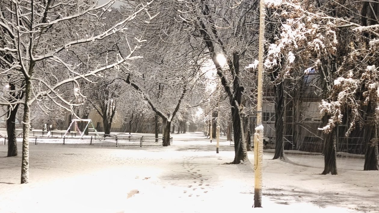 viber_slika_2026-01-03_05-51-57-318 viber_slika_2026-01-03_05-51-57-318