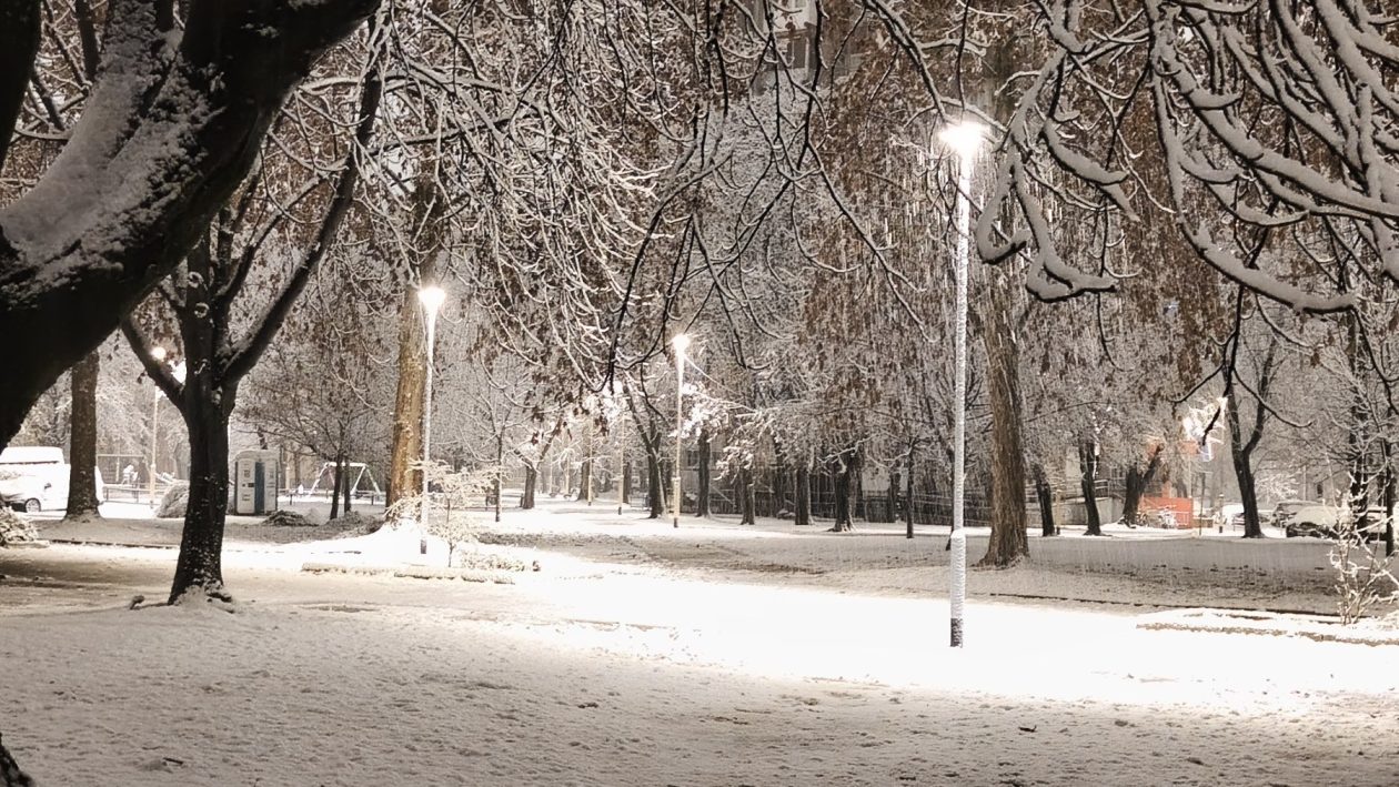 viber_slika_2026-01-03_05-51-57-519 viber_slika_2026-01-03_05-51-57-519