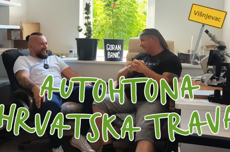 youtube (1)