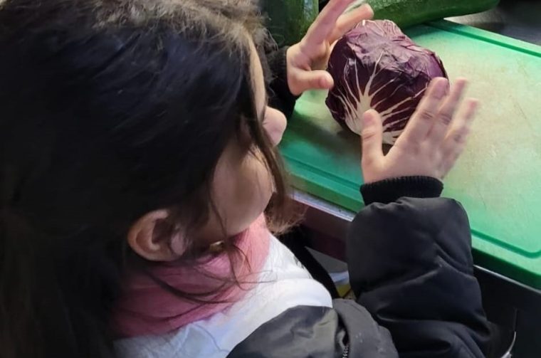 zoo timaritelji1 zoo timaritelji1