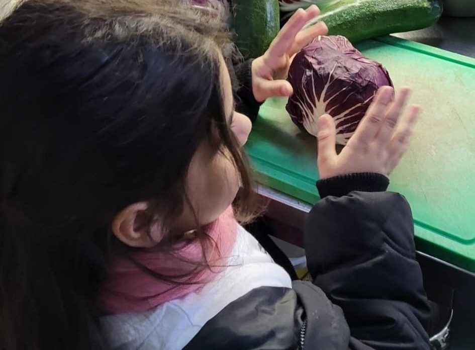 zoo timaritelji1 zoo timaritelji1